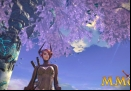 tera-tree