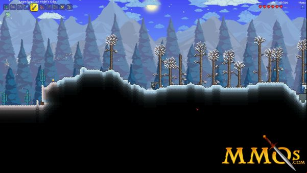 terraria-winer
