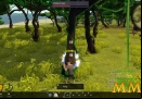 Tree-of-Life-harvesting