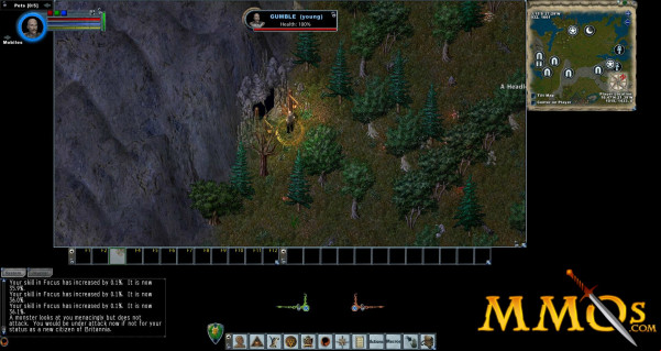 Ultima-Online-cave