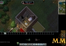 Ultima-Online-bedroom
