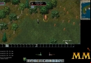 Ultima-Online-brown-bear