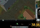 Ultima-Online-combat-stance