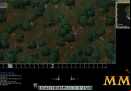 Ultima-Online-dense-forest