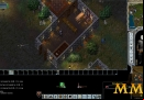Ultima-Online-house