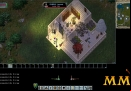 Ultima-Online-metal-door