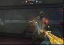 Wolf-Team-close-Range.jpg