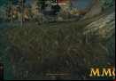 world-of-tanks-grass.jpg