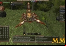 Wurm-Online-attack
