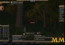 Wurm-Online-aged-brown-bear