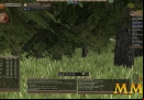 Wurm-Online-bark