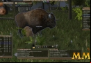 Wurm-Online-bison