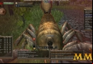 Wurm-Online-dead