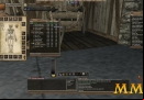 Wurm-Online-inventory
