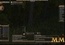Wurm-Online-spider