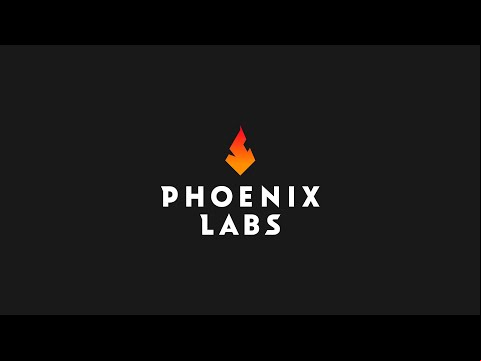 Meet Phoenix Labs