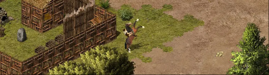 wild-terra-horse-riding